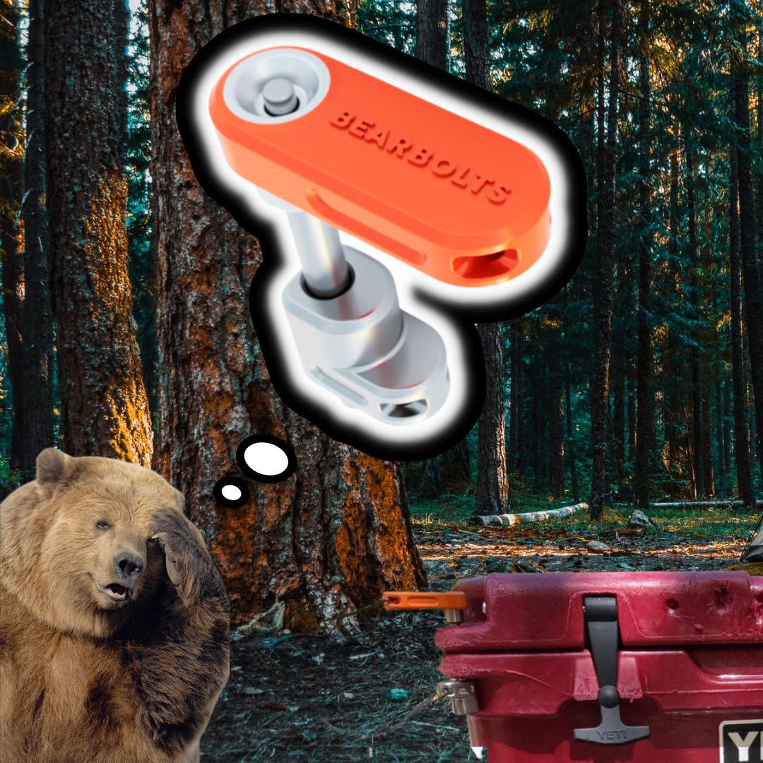 How to Bear Proof Your Cooler