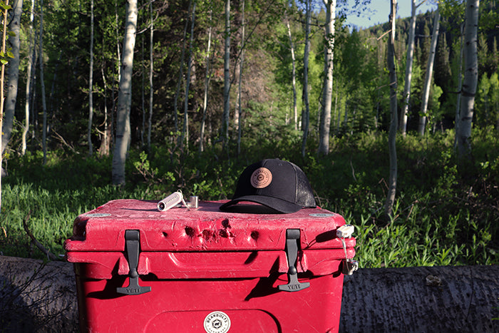 BearBolts low profile trucker hat